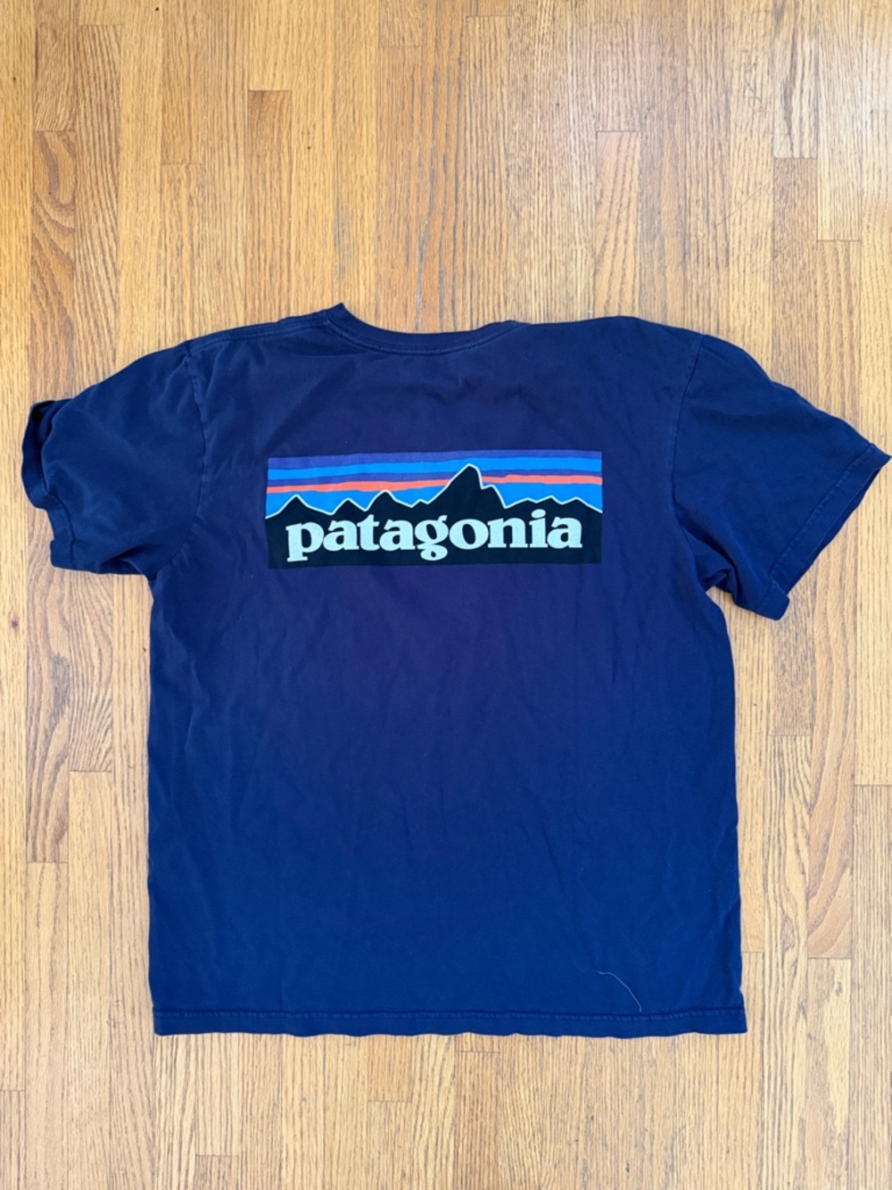 Patagonia Navy Tee with Multicolor Mountain Logo Medium